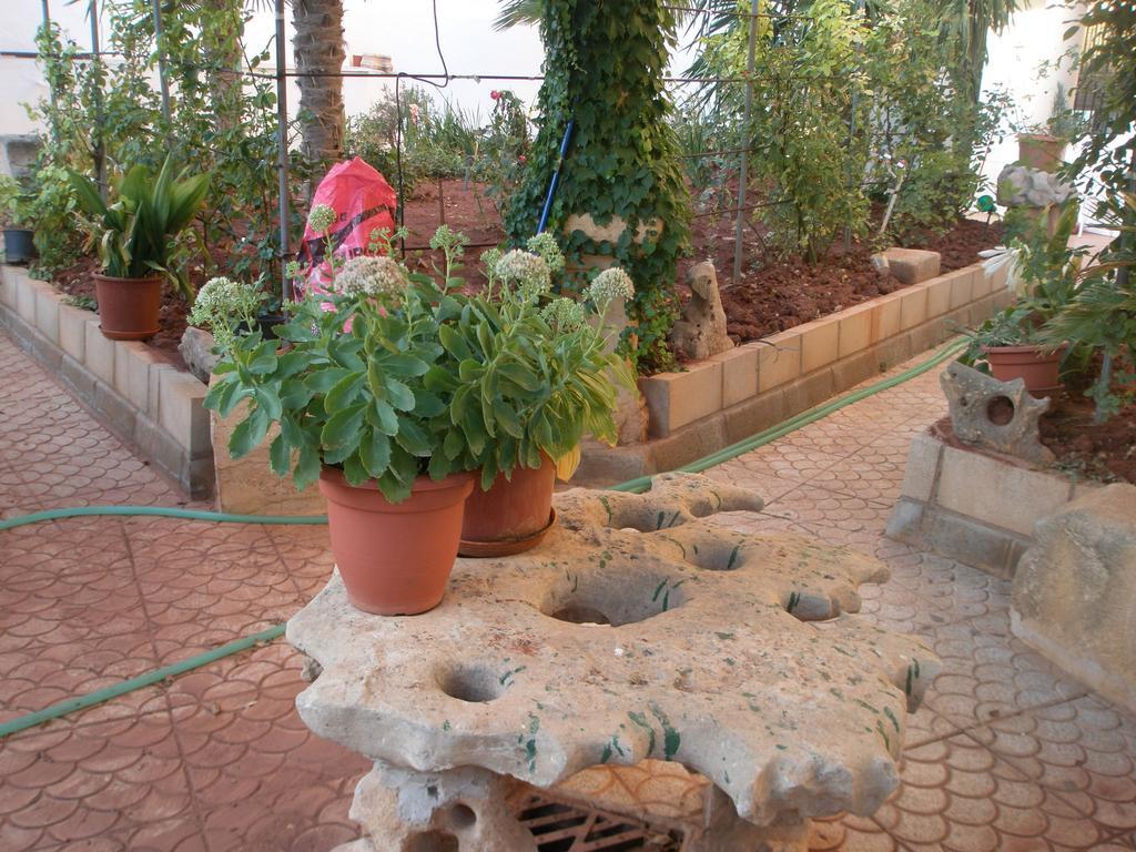 Hostal Los Rosales Alcaraz Δωμάτιο φωτογραφία